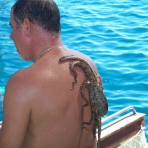 Bilder aus Rhodos 2007 366